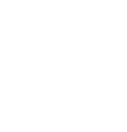Software-Image